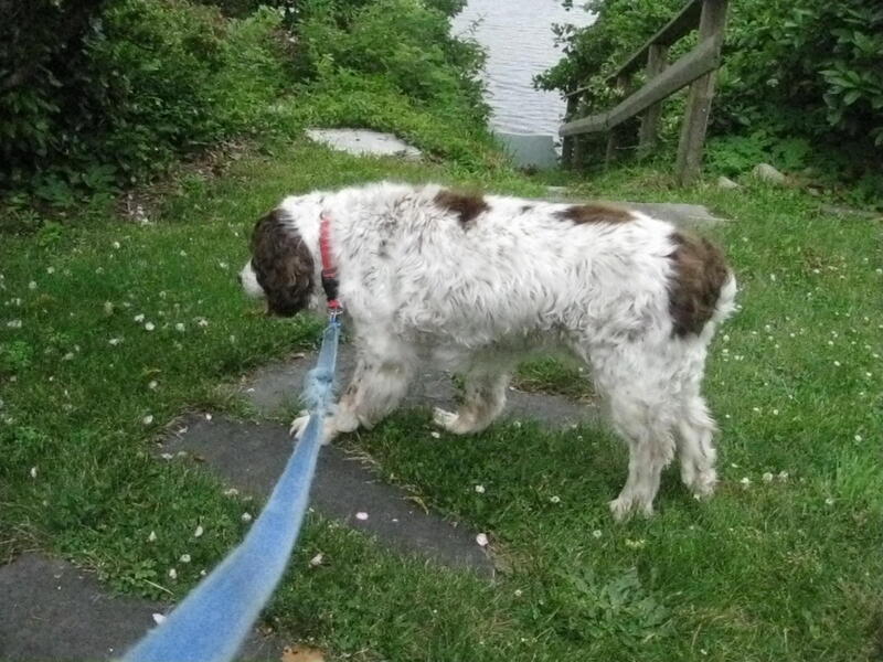 slideshow